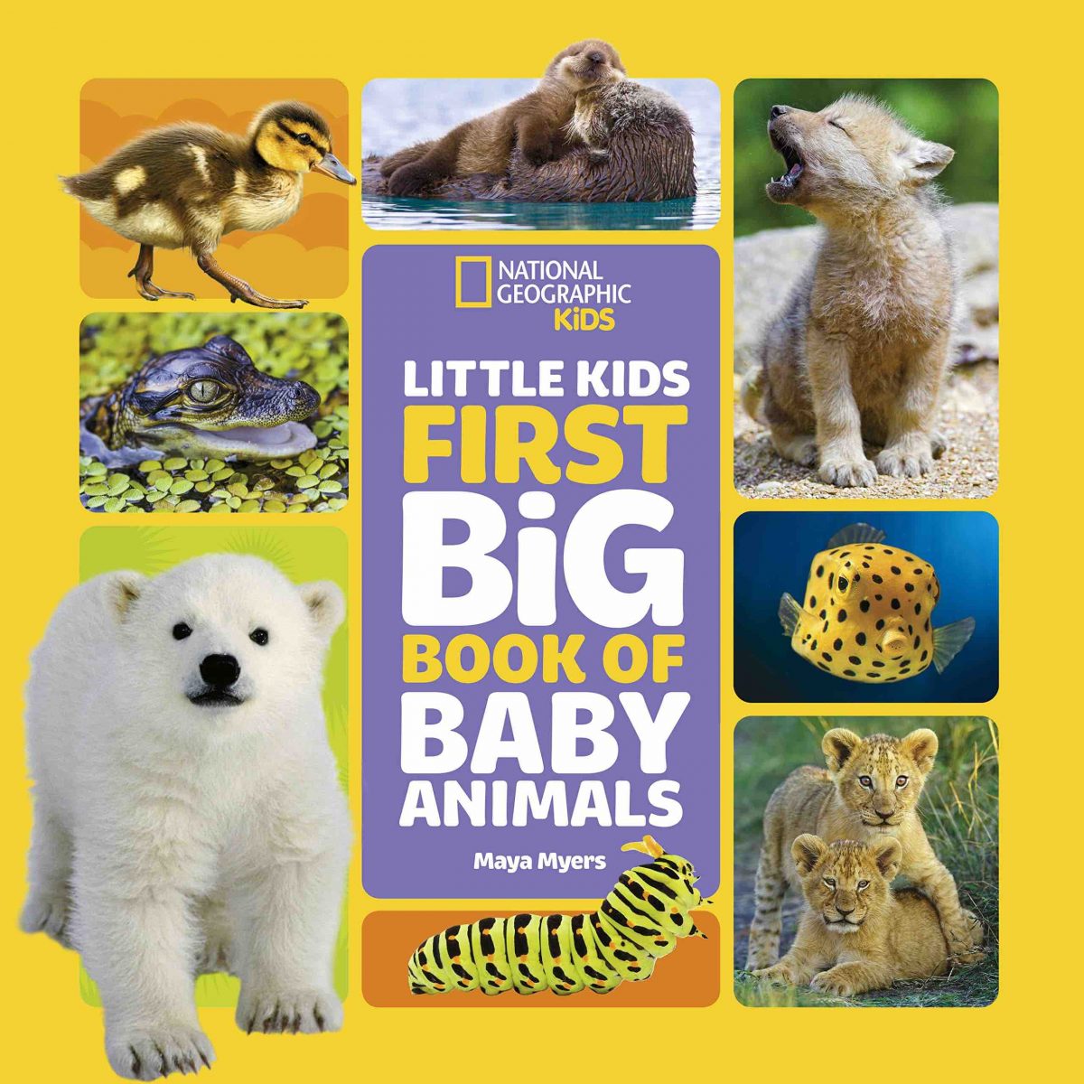 learn-about-baby-animals-in-books-from-national-geographic-kids